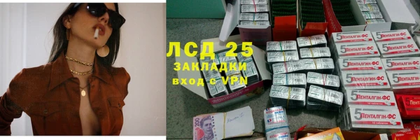крисы Арсеньев