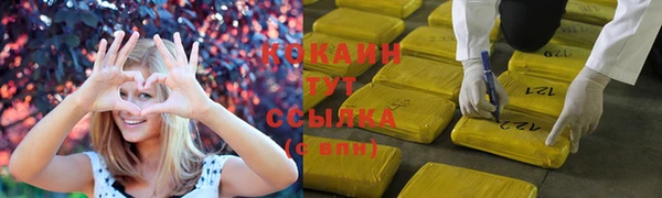 крисы Арсеньев