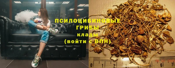 2c-b Аркадак