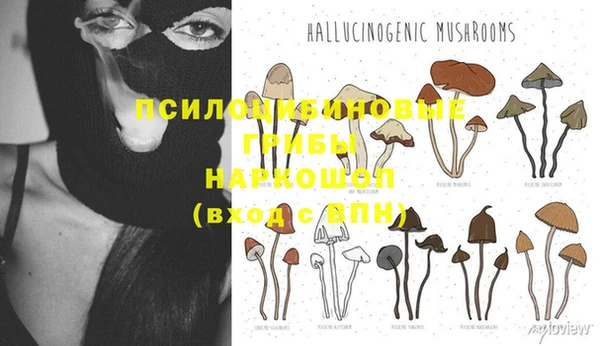 MDMA Армянск