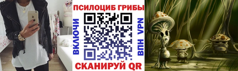 MEGA ТОР как найти наркотики Нягань Псилоцибиновые грибы MAGIC MUSHROOMS